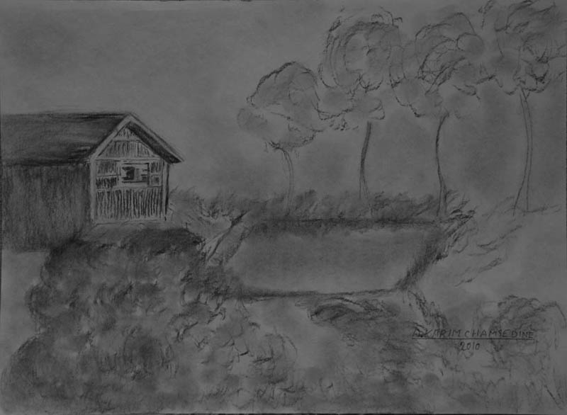 رسم